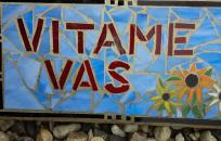 Mosaic tile stating "Vitame Vas"